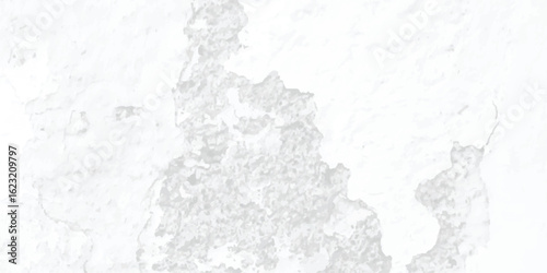 Water splash isolated  Old paper abstract black and white speckled old wall grunge dirty paint overlay dust grain texture background .