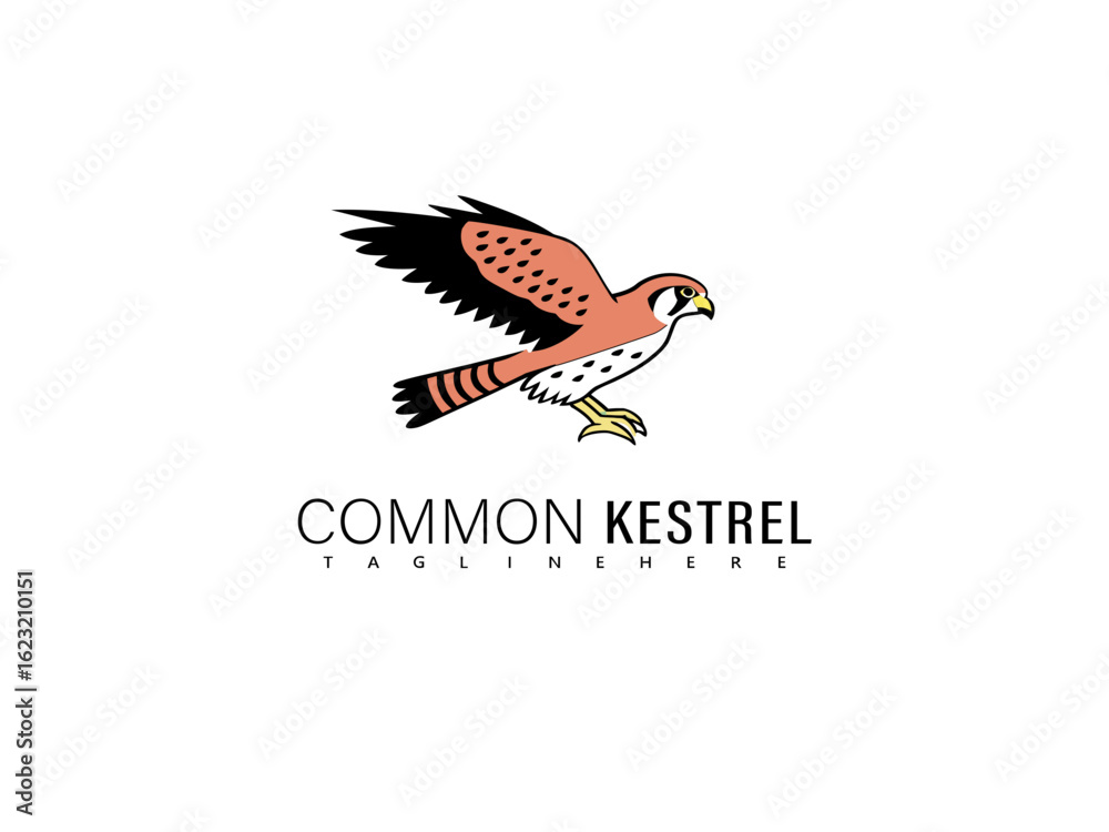 Obraz premium Graceful line vector of a flying kestrel shown from the side with stylized symmetry, created for bird-themed logos, elegant brand packaging, and nature-infused illustrations.