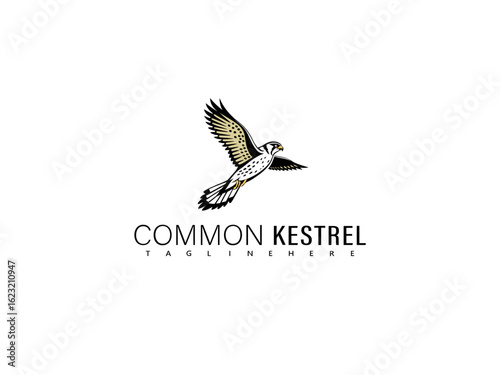 Perched common kestrel vector illustration with intricate feather detail and clean composition, great for branding, elegant nature-themed artwork, and professional design applications.

