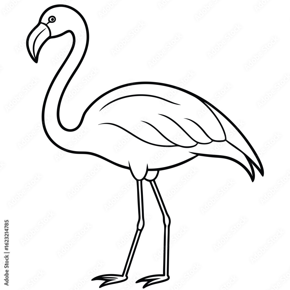Obraz premium beautiful flamingo bird vector on white 