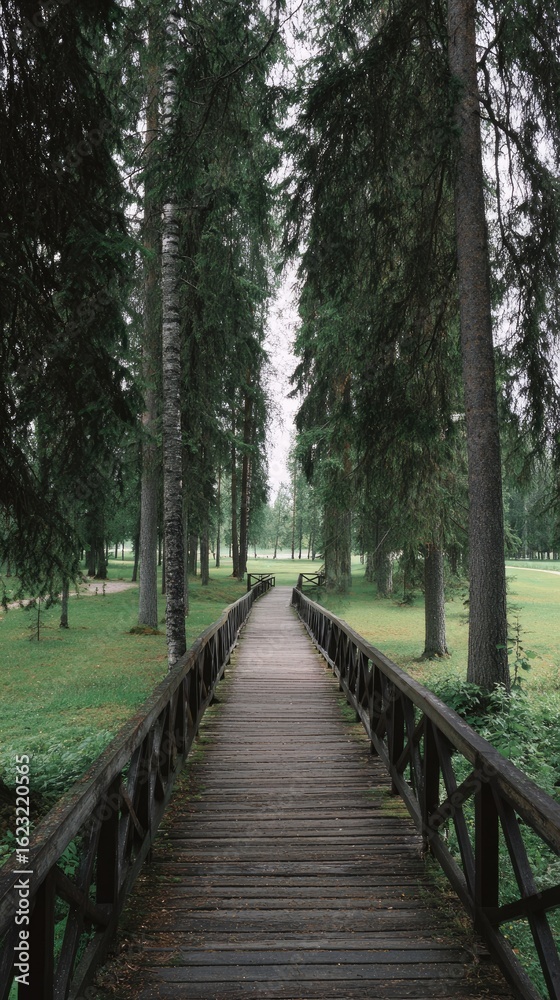 Obraz premium Wooden path through a forest
