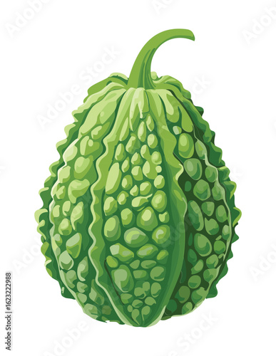 Fresh Whole Green Bitter Gourd - Vector Illustration