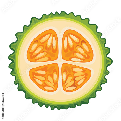 Unusual Exotic Green Fruit Cut Closeup - Vector Illustration