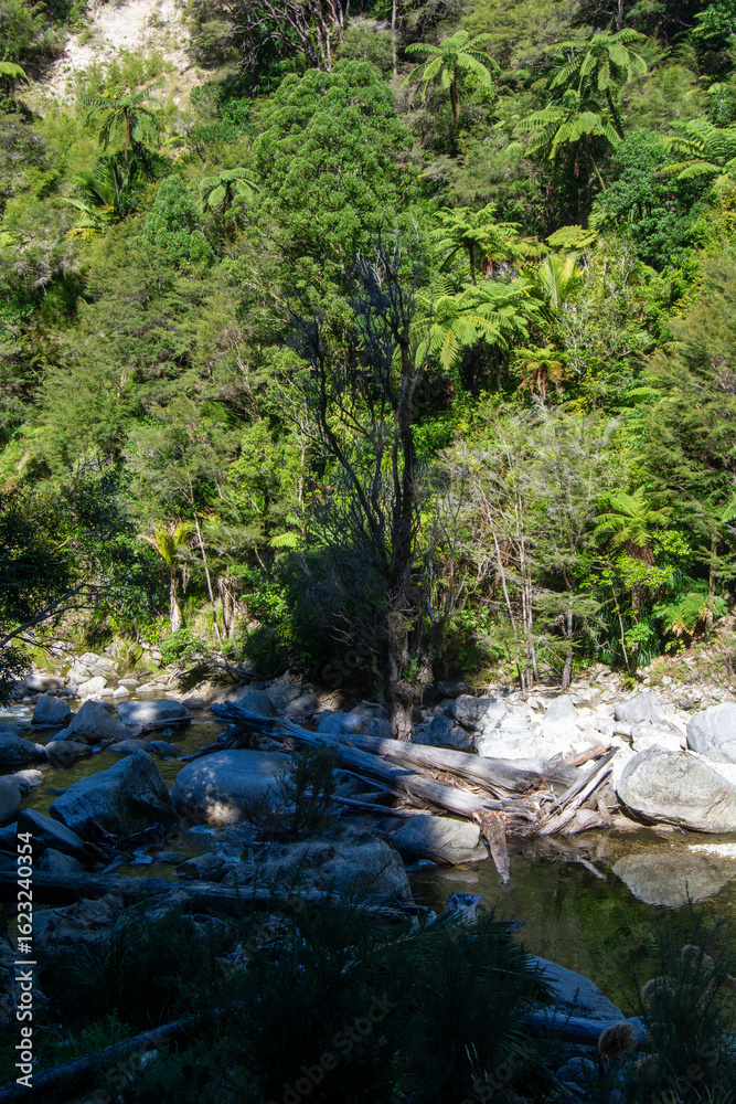 Fototapeta premium Serene River Scene in Lush Greenery