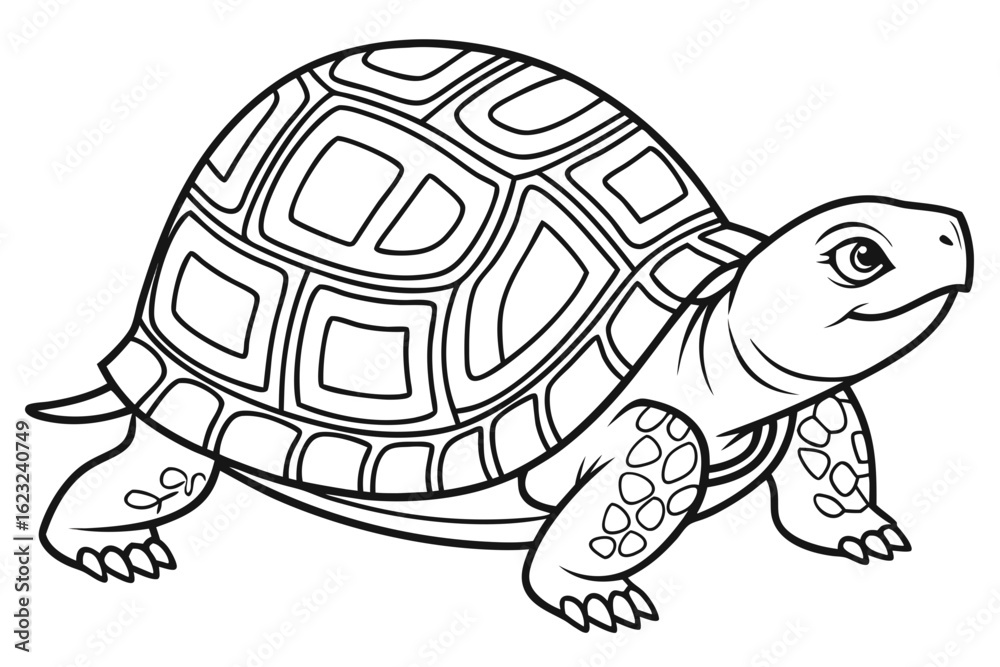 Fototapeta premium coloring page line art the box turtle black vector