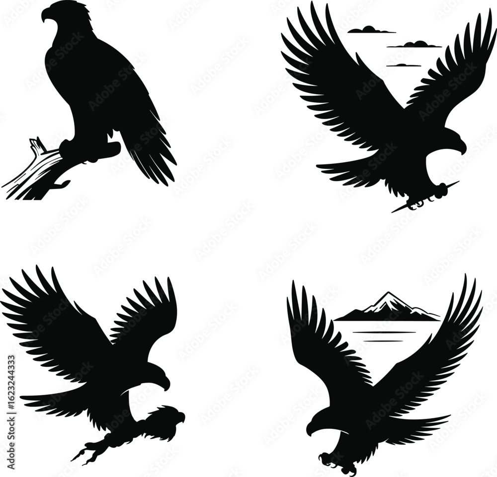 Obraz premium Four eagle silhouettes in flight and perched black and white