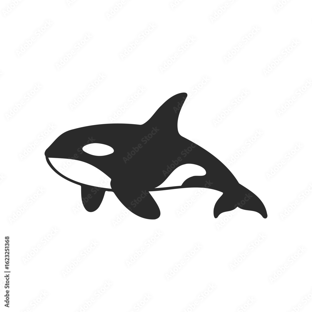 Fototapeta premium Silhouette of an orca whale with distinctive black and white pattern