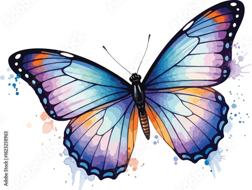 watercolor illustration of butterfly 