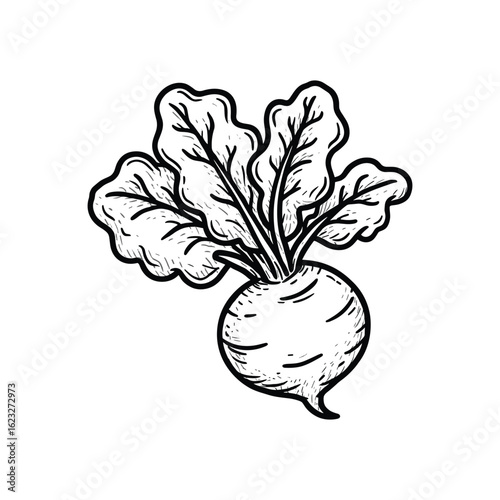 Black and white illustration of a beet with leafy greens root vegetable