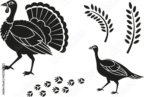 Realistic Colorful Turkey Illustration. Detailed Colorful Turkey Illustration. Hand Drawn Realistic Turkey Illustration. Bright Realistic Turkey Illustration. High Quality Colorful Turkey Illustration