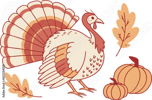 Realistic Colorful Turkey Illustration. Detailed Colorful Turkey Illustration. Hand Drawn Realistic Turkey Illustration. Bright Realistic Turkey Illustration. High Quality Colorful Turkey Illustration