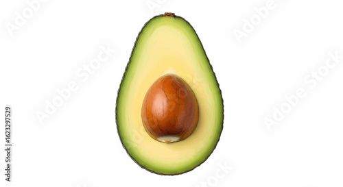 Fresh Avocado Sectional A Vector Illustration for Healthy Eating and Culinary Concepts