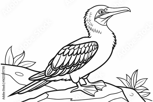 coloring page line art the booby black vector
