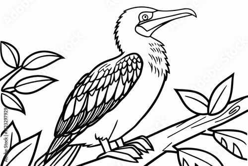 coloring page line art the booby black vector