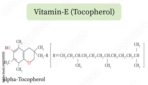 Vitamin E (Alpha-Tocopherol) Chemical Structure Formula and Structure. Vector illustration for medical articles and pharmaceutical design, showing a detailed representation of chemical bonds.