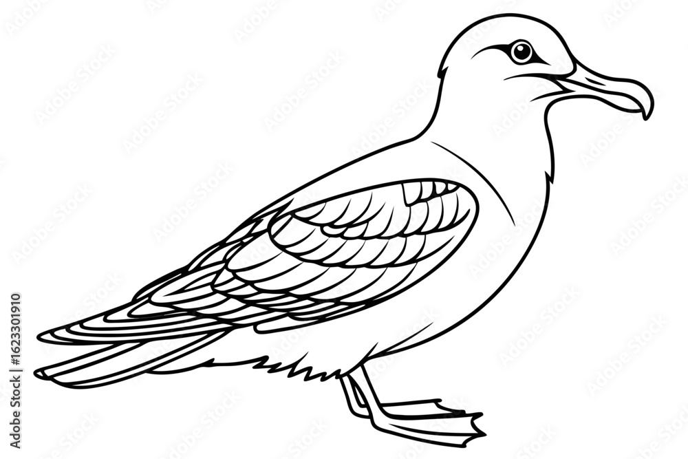 Obraz premium coloring page line art the shear water black vector