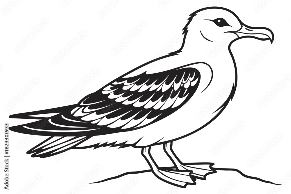 Obraz premium coloring page line art the shear water black vector