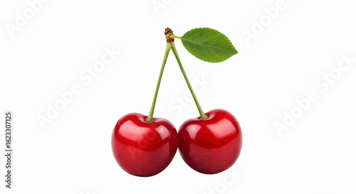 A vector illustration of two red ripe cherries with a green leaf isolated on white.