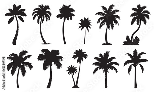Collection of twelve black silhouette palm trees on white background tropical