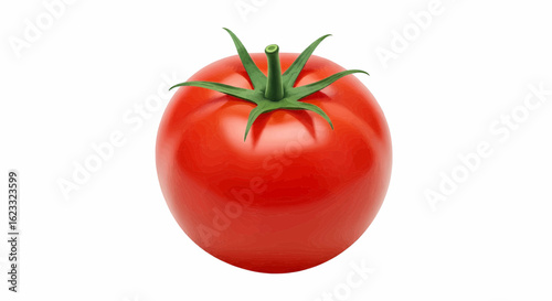 Fresh ripe red tomato isolated on white background, a detailed vector illustration.