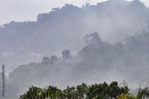 Foggy morning in the mountains