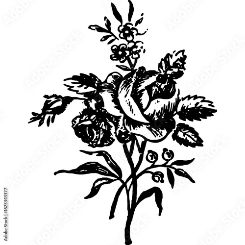 Wallpaper Mural A classic vintage illustration of a rose bouquet. Hand-drawn floral design with an engraved, antique aesthetic for decoration. Torontodigital.ca