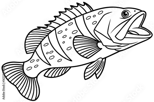 coloring page line art the grouper black vector