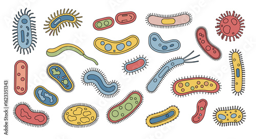A diverse collection of microscopic organisms showing varied shapes and colors illustrating basic biological forms