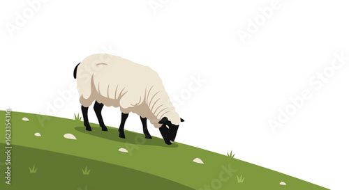 Stylized vector illustration depicts a sheep grazing on a green hill against a white background showcasing a minimalist aesthetic and serene