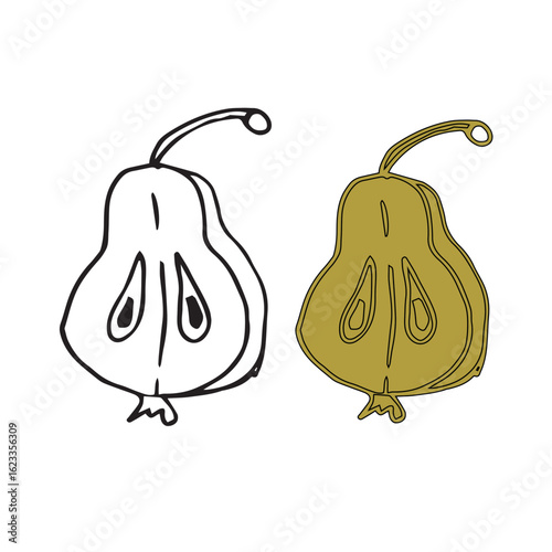 Pear-contour and color vector doodle illustration