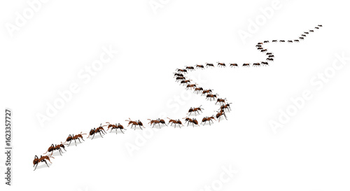 A persistent march forward tiny insects following a winding path together as a colony showing teamwork