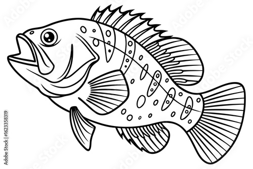 coloring page line art the crappie black vector