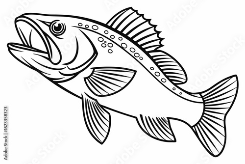 coloring page line art the crappie black vector
