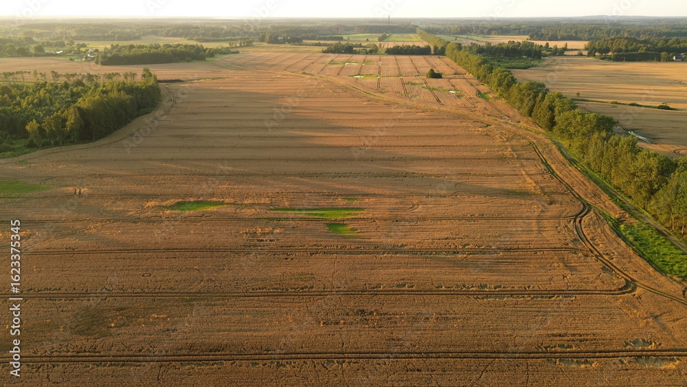 Obraz premium Drone Shot of Forestry Equipment, Harvester and Forwarder Agroculture
