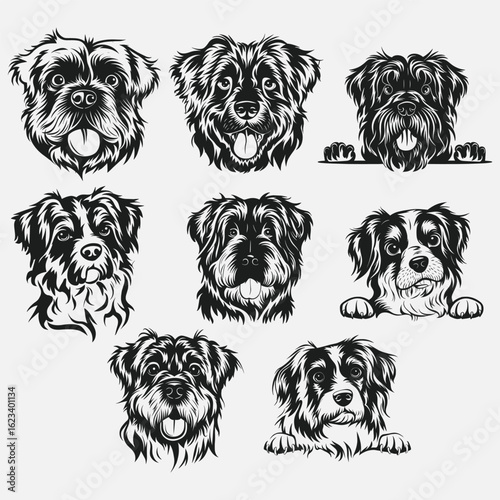 Toller dog svg clipart portrait head Nova Scotia Duck Tolling Retriever cut file cricut Toller vector