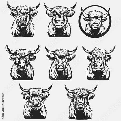 Highland Cow SVG, Heifer, Buffalo, Scottish cow, Cattle, Livectock, Farm animal, Face