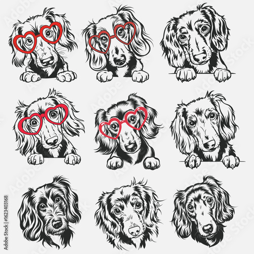 Dachshund svg, Dog face svg, Doxie mom, Peeking Vector clipart, Miniature Dachshund