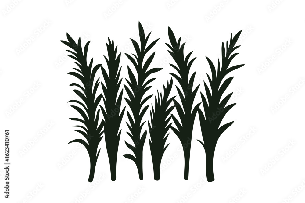 Fototapeta premium Silhouette of tall grass stalks against a white background
