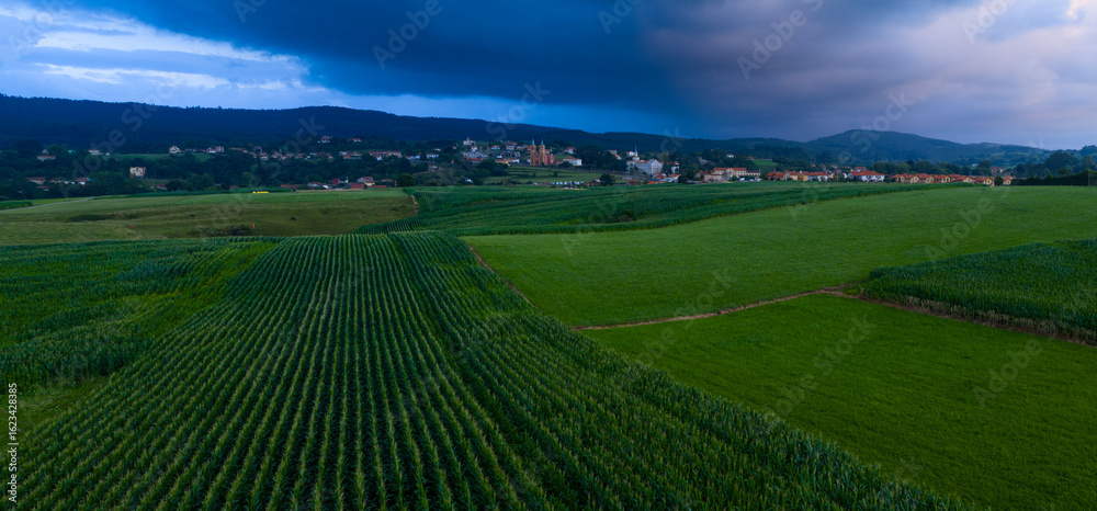 Fototapeta premium An aerial drone view of cornfields and the neo-Gothic Church of San Pedro Ad enlace in the town of Cóbreces, in the municipality of Alfoz de Loredo. Cóbreces, Cantabria, Spain, Europe