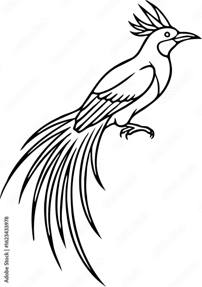 Fototapeta premium Cenderawasih Bird of Paradise, Minimalist Black and White SVG Line Art for Apparel and Sticker Design