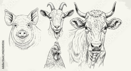 Detailed Hand-Drawn Farm Animal Heads: Pig, Goat, Cow, Chicken, in Vintage Sketch Style