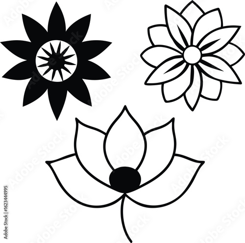 Elegant Floral Illustrations Featuring a Variety of Black and White Flower Designs with Unique Petal Arrangements and Artistic Flair