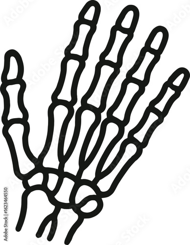 Black and White Skeleton Hand Illustration with Detailed Bone Structure