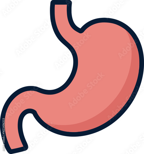 Illustration of the Human Stomach with a Dark Blue Outline on White