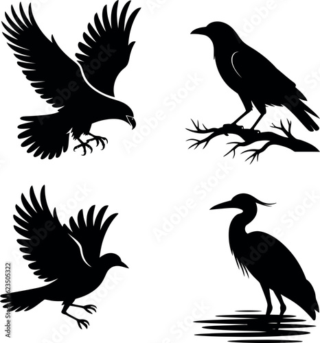 Bird Silhouettes: Flying & Standing Avian Icons Set
