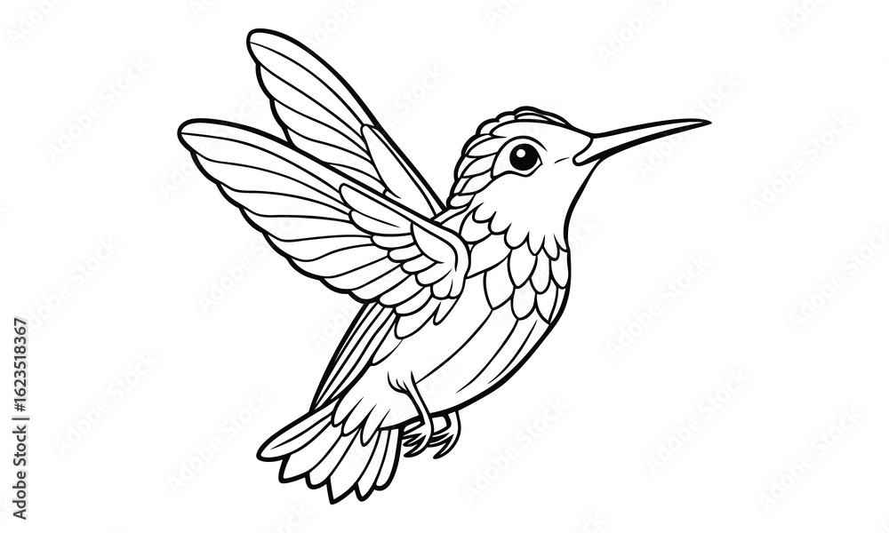 Obraz premium Hummingbird t shirt design silhouette and vector line art Vibrant Hummingbird Graphic for Casual and Eco-Friendly Wear