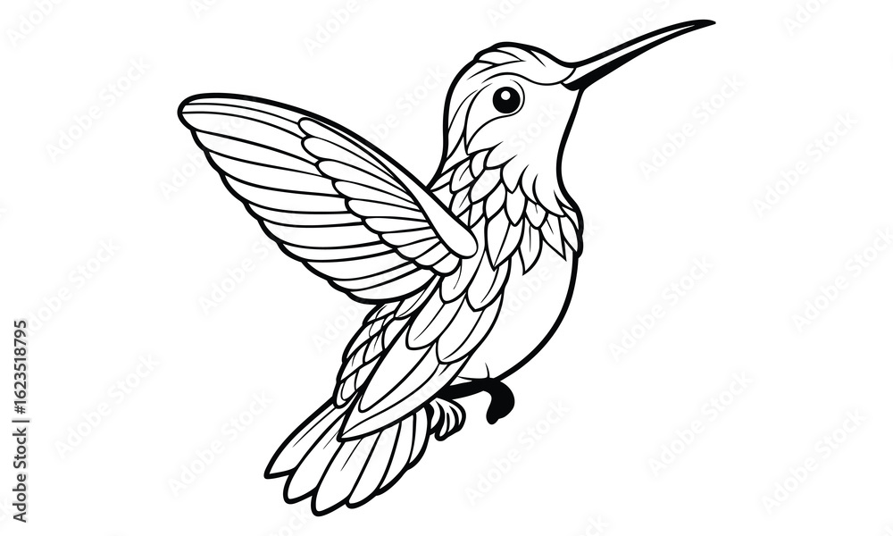 Fototapeta premium Hummingbird t shirt design silhouette and vector line art Vibrant Hummingbird Graphic for Casual and Eco-Friendly Wear