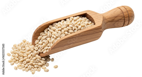 Tableau sur toile Isolated spoon of pearl barley