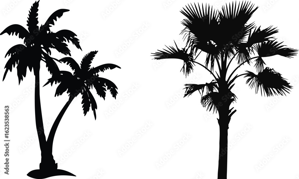 Fototapeta premium Palm Tree Silhouette Vector – Tropical Tree Icon in Black and White on Transparent Background