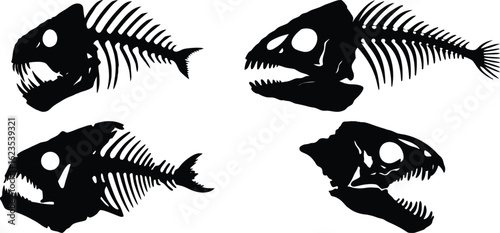 Fish Skeleton Silhouette Vector collection – Detailed Bone Structure of Dead Fish on Transparent Background